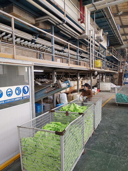 ������ʱ(�й�)�������ǲ�!