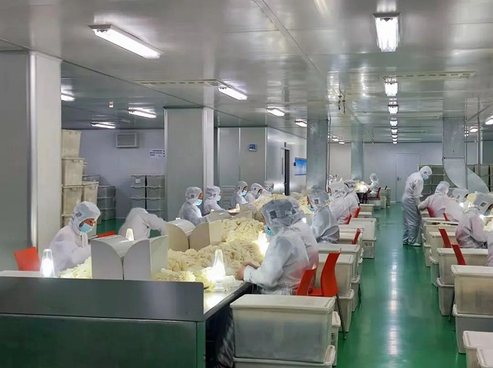 ������ʱ(�й�)�������ǲ�!