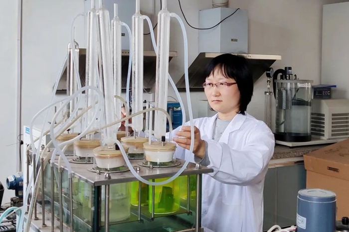 ������ʱ(�й�)�������ǲ�!