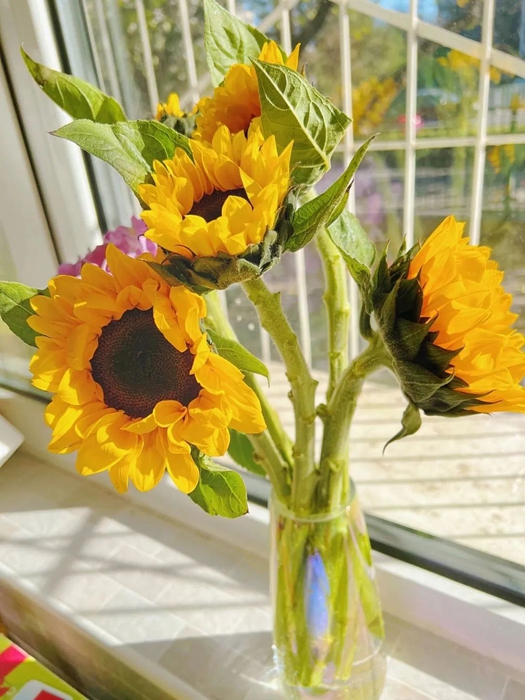 ×ðÁú¿Ê±(Öйú)ÈËÉú¾ÍÊDz«!