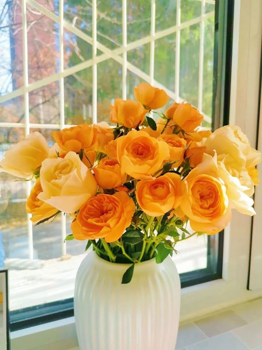 ×ðÁú¿Ê±(Öйú)ÈËÉú¾ÍÊDz«!