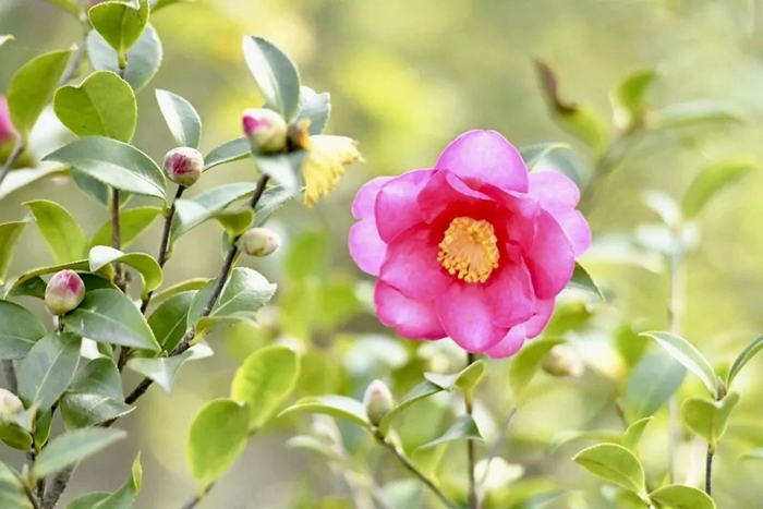 ×ðÁú¿Ê±(Öйú)ÈËÉú¾ÍÊDz«!