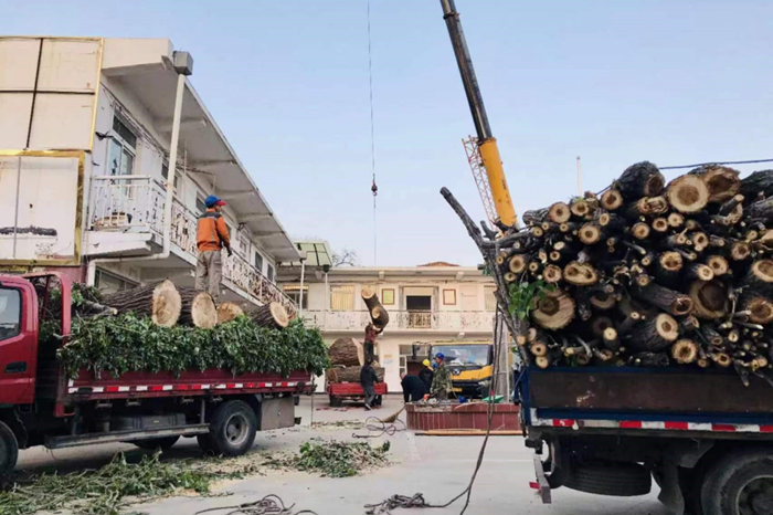 ������ʱ(�й�)�������ǲ�!