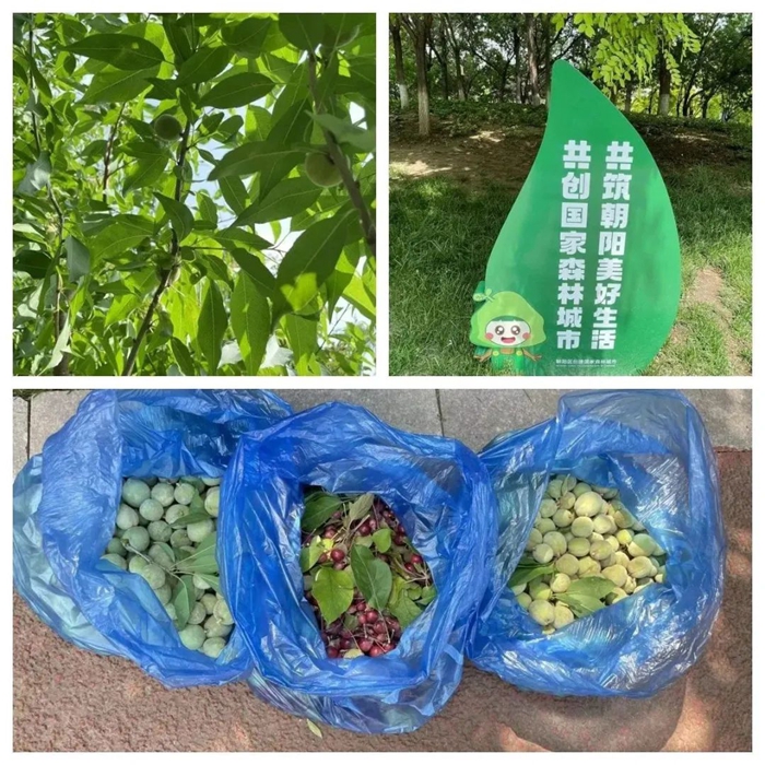 ������ʱ(�й�)�������ǲ�!