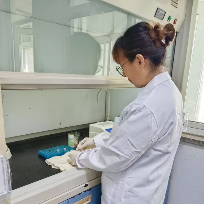 ������ʱ(�й�)�������ǲ�!