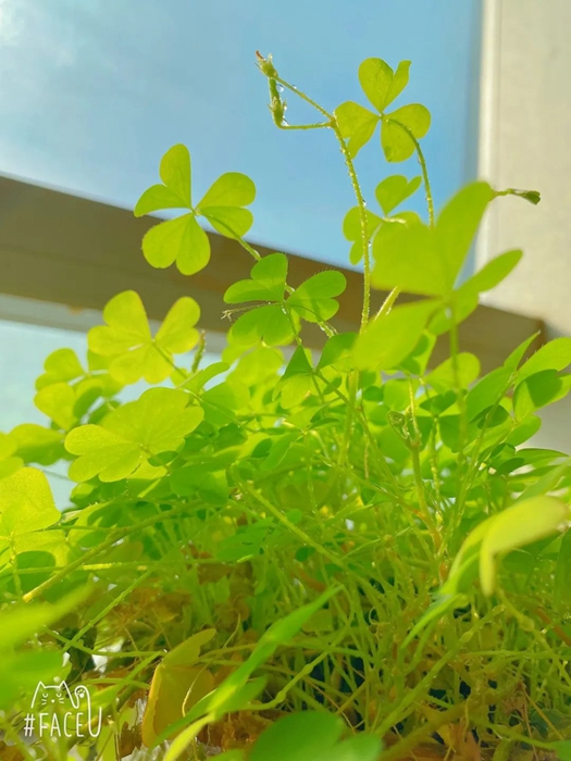 ������ʱ(�й�)�������ǲ�!