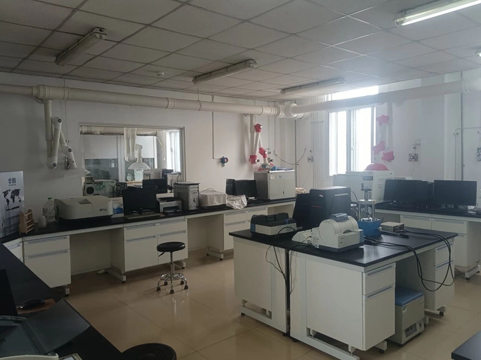 ������ʱ(�й�)�������ǲ�!